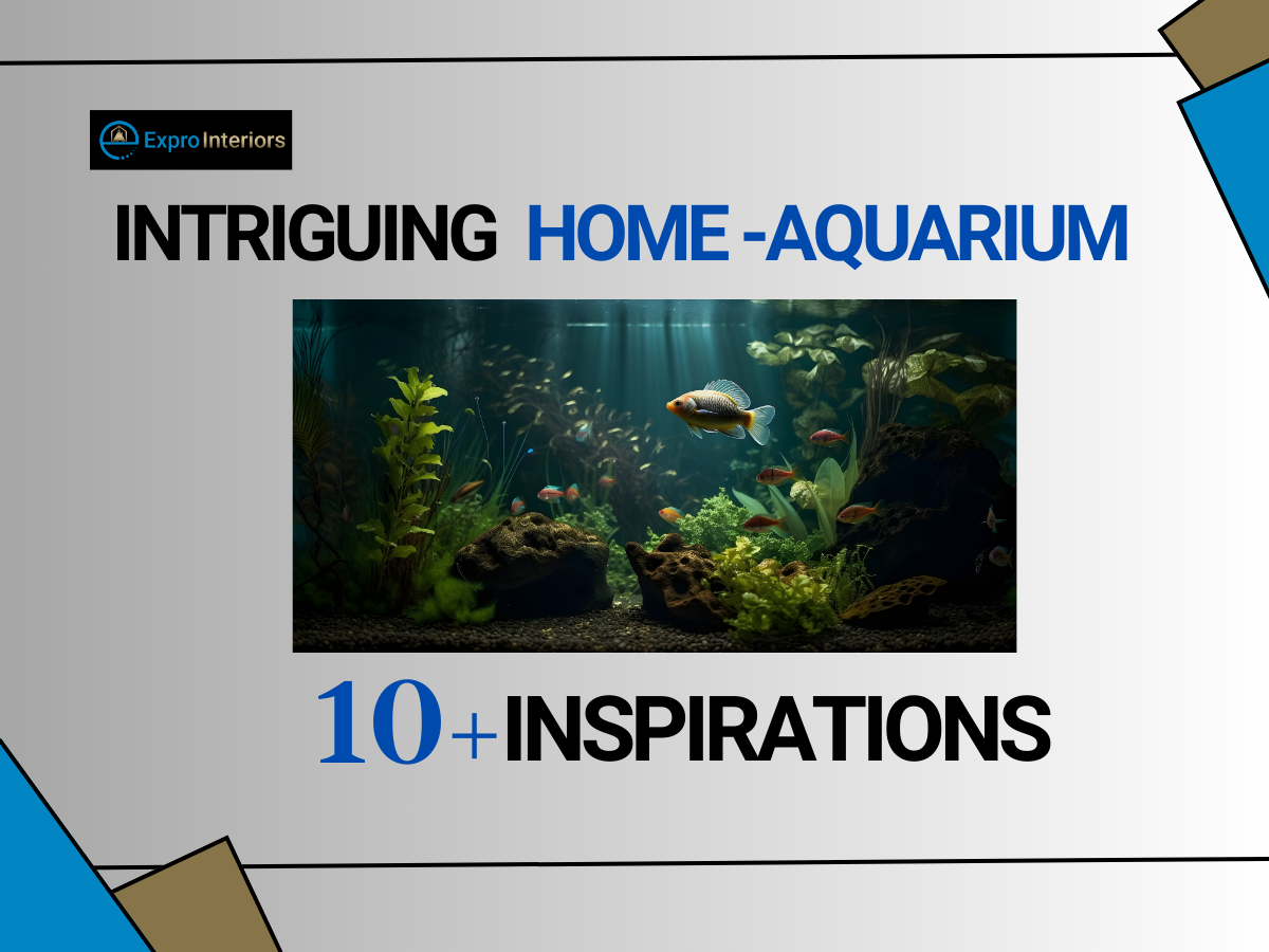 Home Aquarium Designs for new and old home poster with an aquirium setup image.