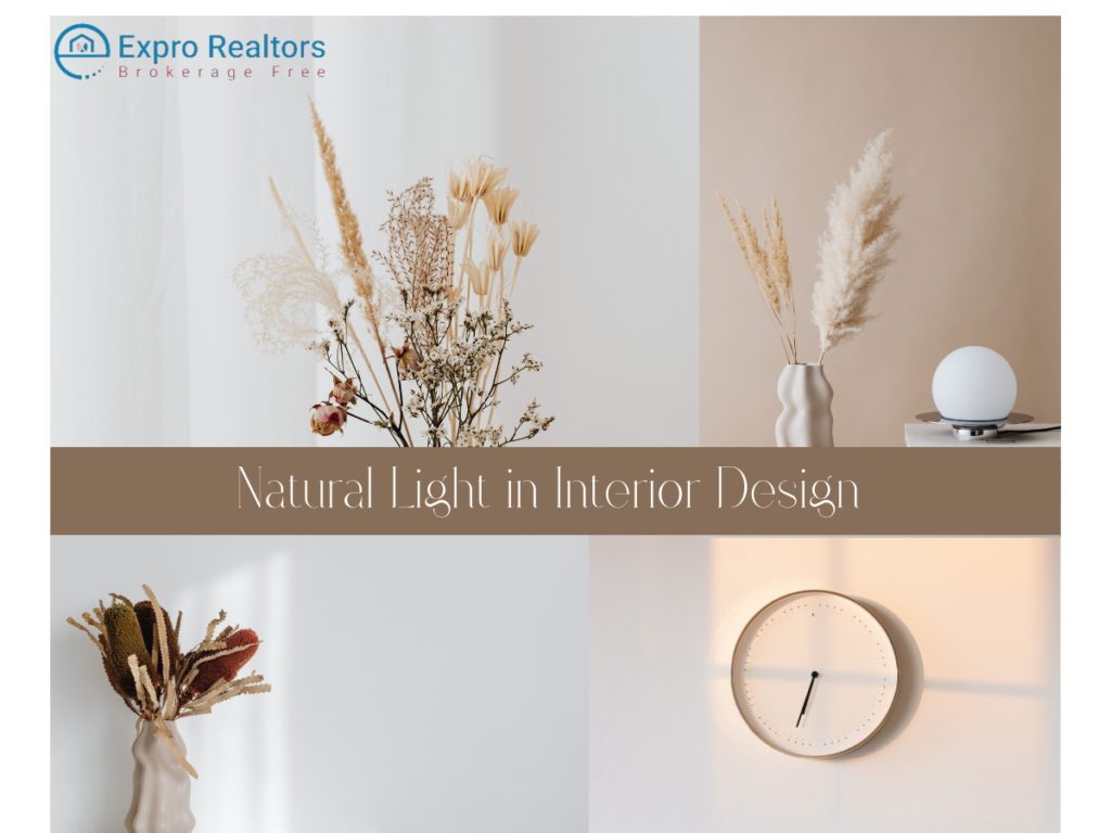 Natural Light in Interior Design blog thumbnail